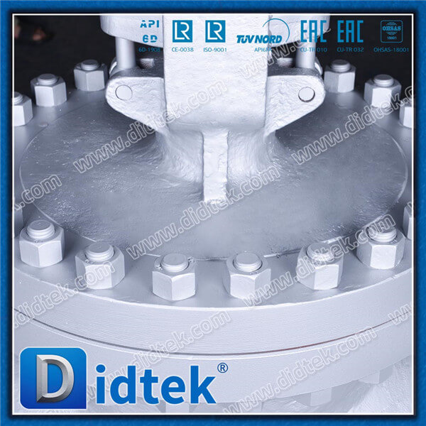 Didtek Paper Industry 14" 300LB WCB Globe Valve