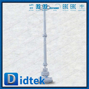 Didtek Cryogenic Supper Extention Stem LCB Globe Valve