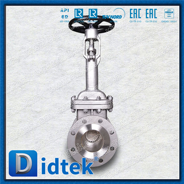 Didtek Cryogenic Extension Stem Hitachi Project In Russia CF8M Gate Valve